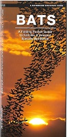 Waterford Press Pocket Naturalist Guide - Bats of the World